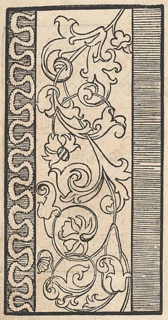An illustration from 1529 ein new getruckt model büchli auff außnehen unnd borttenwircken ynn der laden unnd lanngenn gestell. Ganntz gerecht nach abteilung der feden tzal., 1529, leaf 38