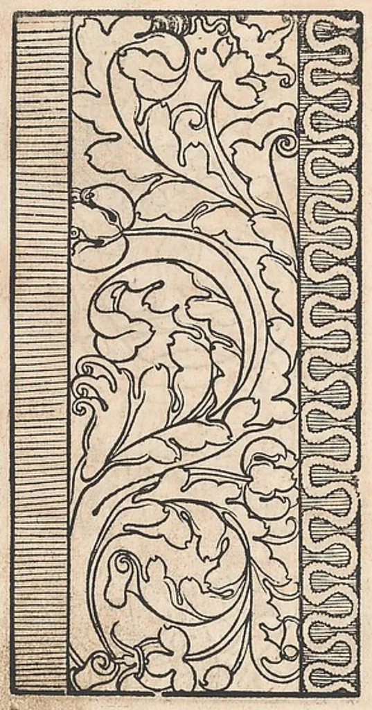 An illustration from 1529 ein new getruckt model büchli auff außnehen unnd borttenwircken ynn der laden unnd lanngenn gestell. Ganntz gerecht nach abteilung der feden tzal., 1529, leaf 44