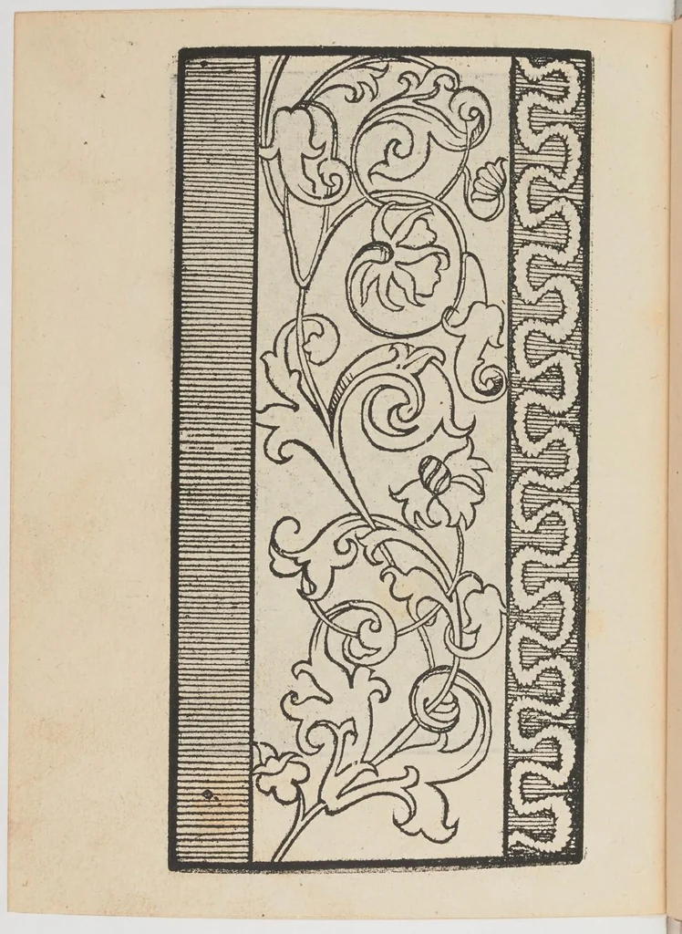 An illustration from Ein new Modelbuch auff aussnehen und porten wircken in der Laden unnd langengestell Gemert und gepessert mit 105 andern Modeln, 1527, leaf 49