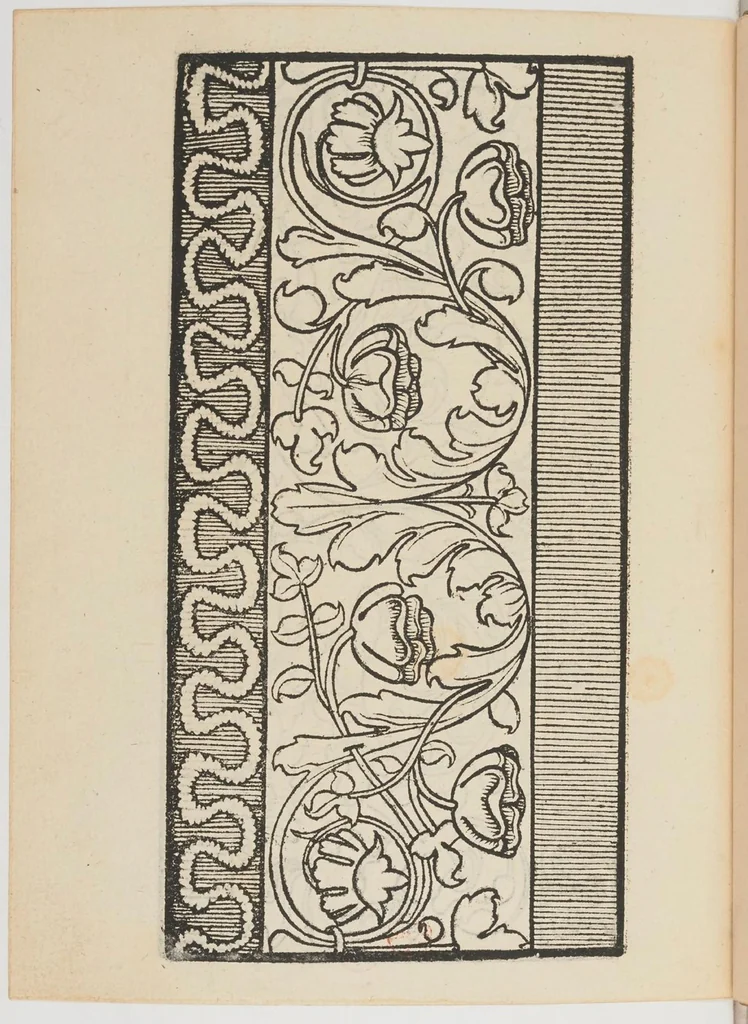 An illustration from Ein new Modelbuch auff aussnehen und porten wircken in der Laden unnd langengestell Gemert und gepessert mit 105 andern Modeln, 1527, leaf 55