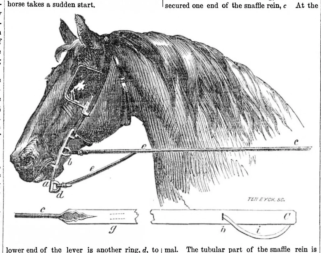 An illustration from Scientific American, Vol. 11, No. 6 (October 20, 1855), 1855, leaf 7