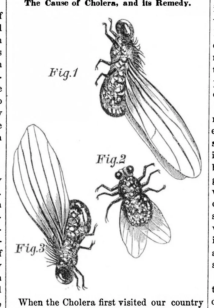 An illustration from Scientific American, Vol. 11, No. 23 (February 16, 1856), 1856, leaf 7