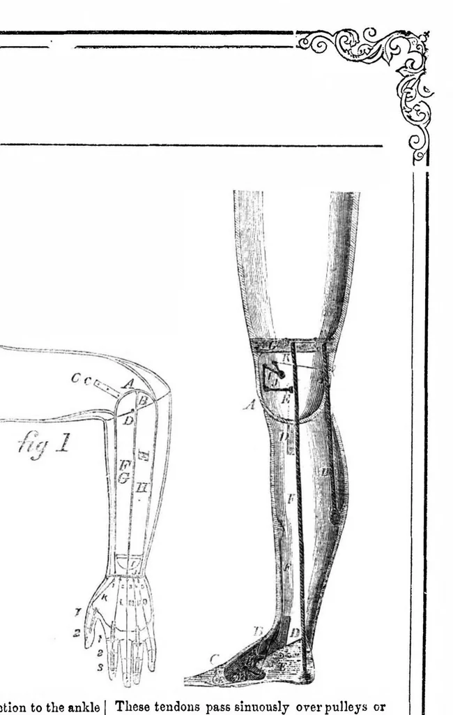 An illustration from Scientific American, Vol. 14, No. 25 (February 26, 1859), 1859, leaf 7