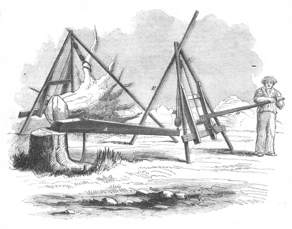 An illustration from Scientific American, New Series, Vol. 5, No. 4 (July 27, 1861), 1861, leaf 0