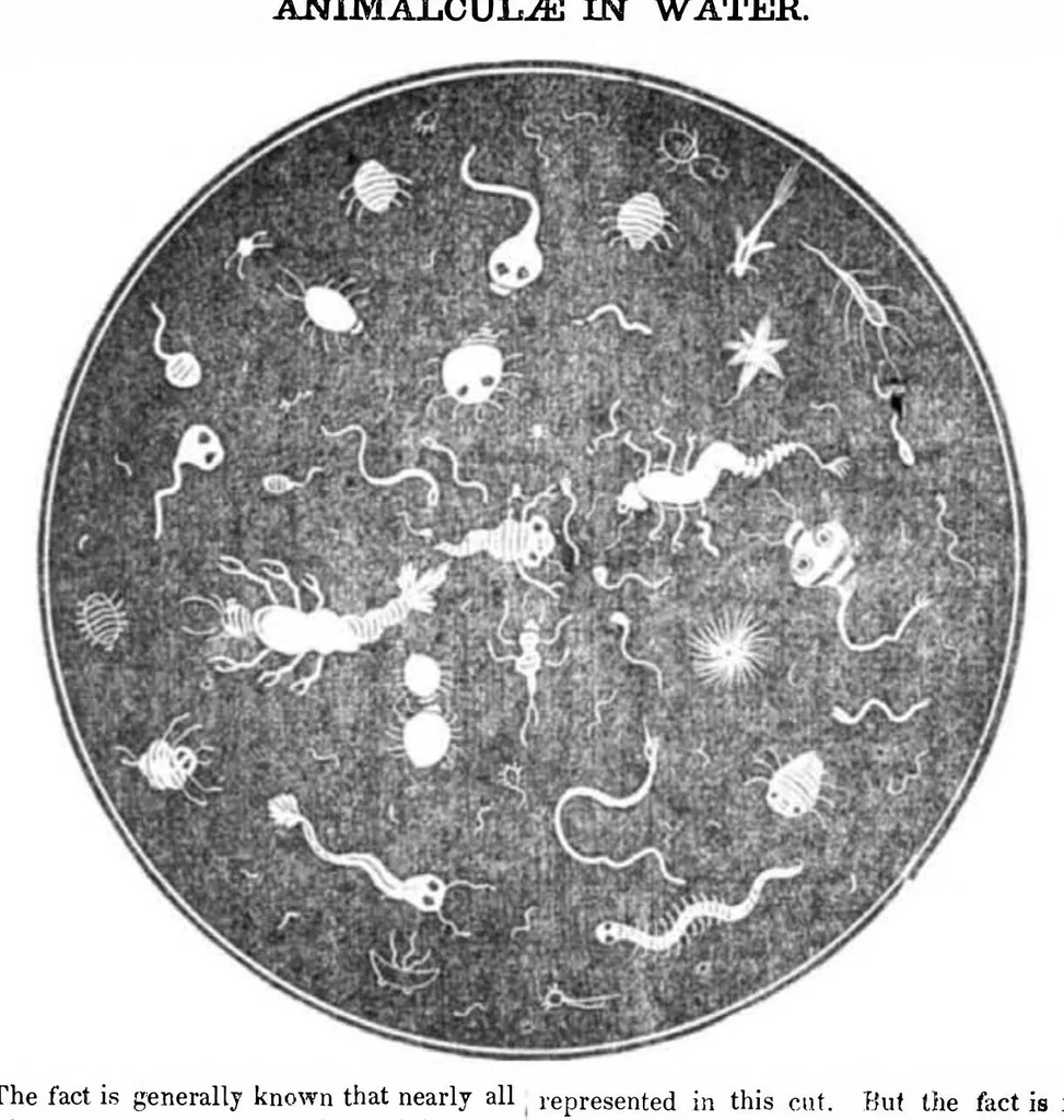 An illustration from Scientific American, Vol. 2, No. 3 (1846), 1846, leaf 5