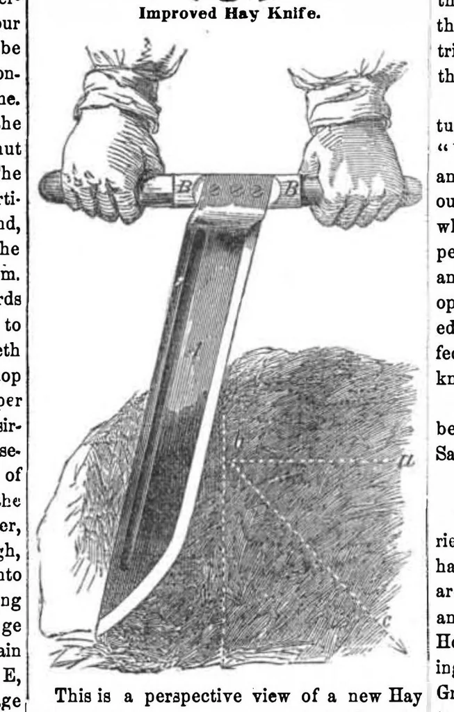 An illustration from Scientific American, Vol. 9, No. 46 (1854), 1854, leaf 3