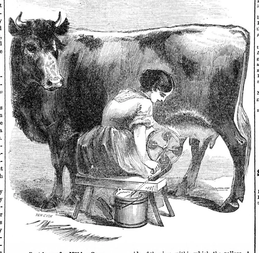 An illustration from Scientific American, Vol. 11, No. 49 (1856), 1856, leaf 7