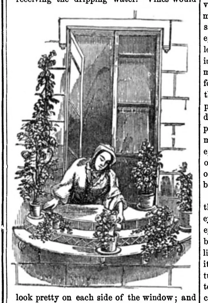An illustration from Scientific American, Vol. 12, No. 41 (1857), 1857, leaf 7