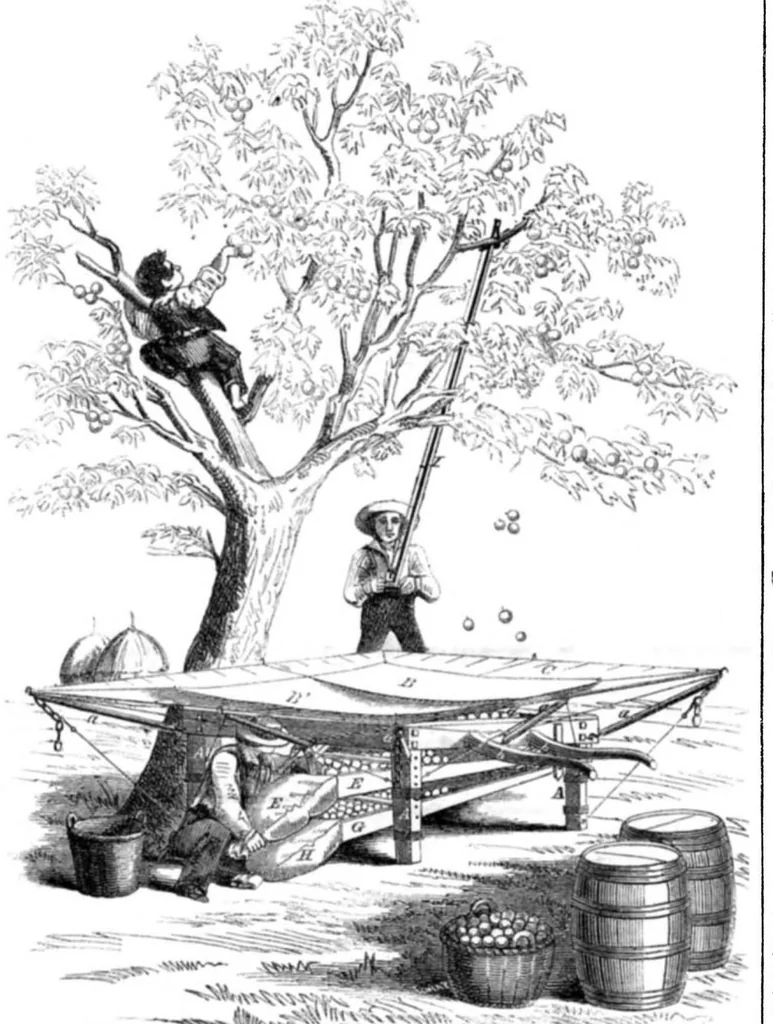 An illustration from Scientific American, Vol. 13, No. 40 (1858), 1858, leaf 7