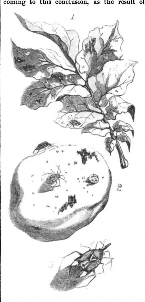 An illustration from Scientific American, Vol. 13, No. 51 (1858), 1858, leaf 7