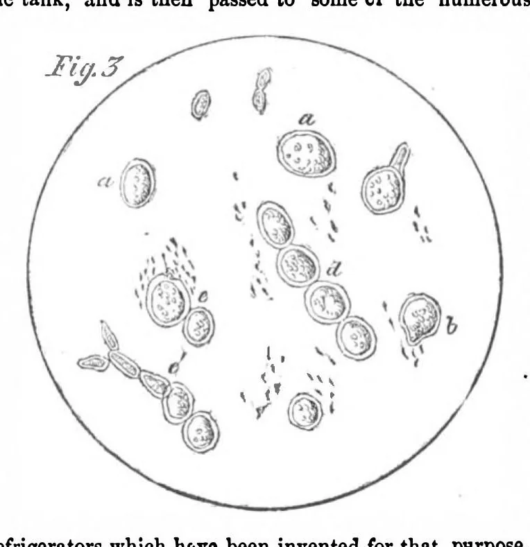 An illustration from Scientific American, Vol. 2, No. 4 (1860), 1860, leaf 0