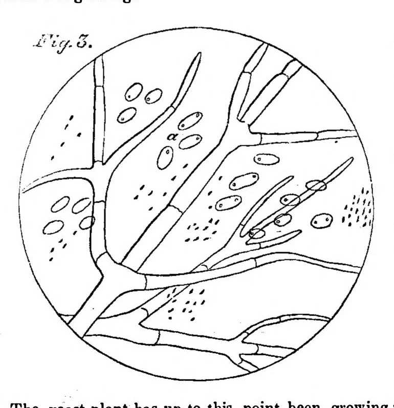 An illustration from Scientific American, Vol. 3, No. 21 (1860), 1860, leaf 6