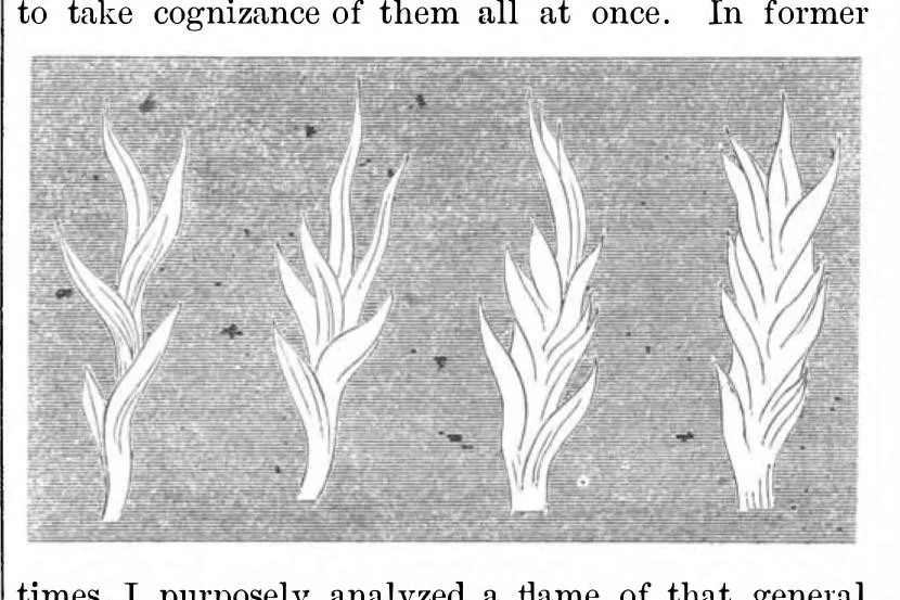 An illustration from Scientific American, Vol. 4, No. 7 (1861), 1861, leaf 1