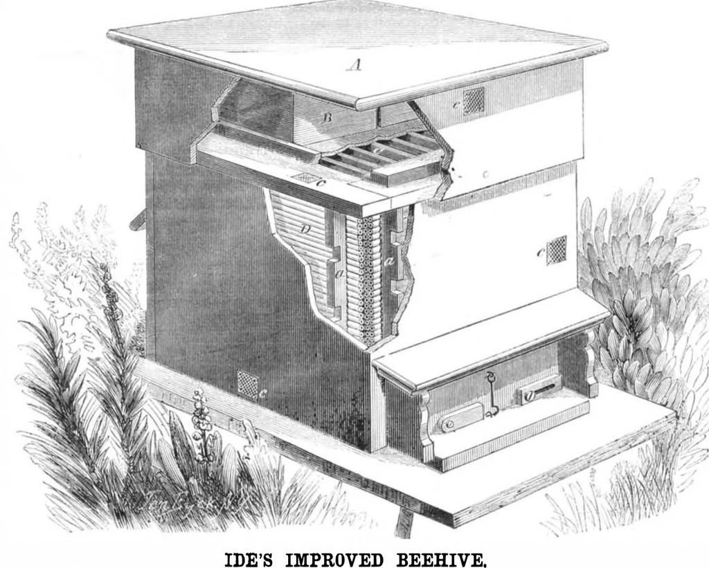 An illustration from Scientific American, Vol. 4, No. 24 (1861), 1861, leaf 15