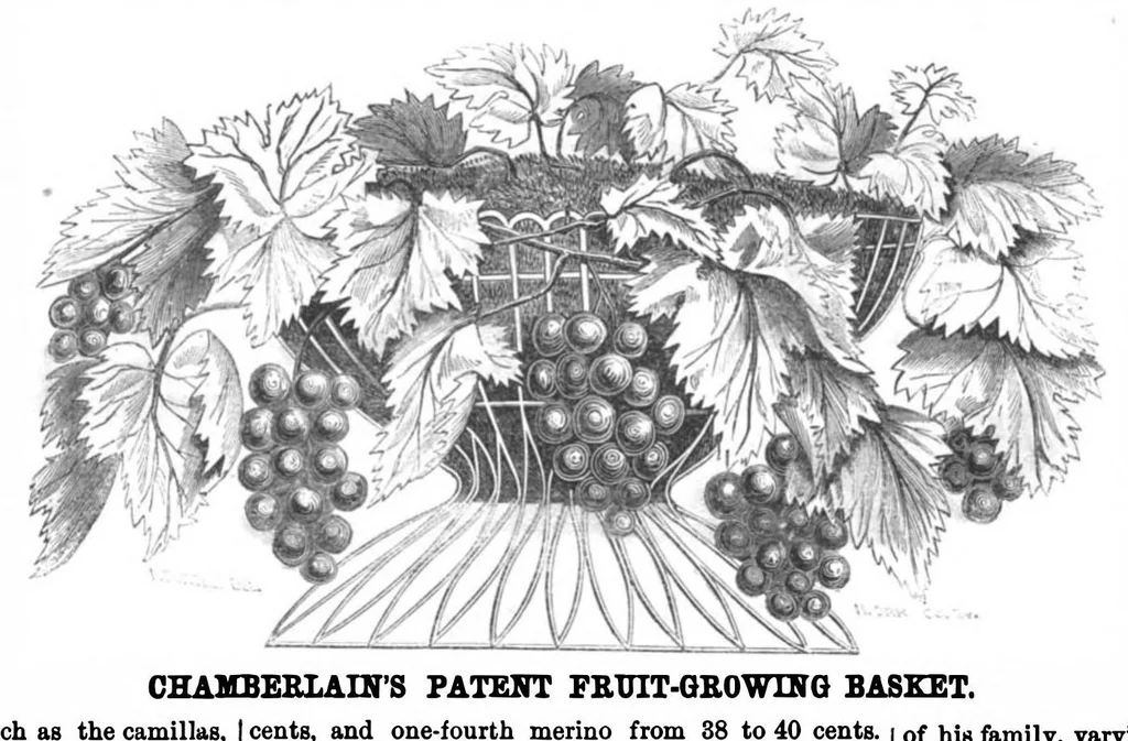 An illustration from Scientific American, Vol. 5, No. 22 (1861), 1861, leaf 6