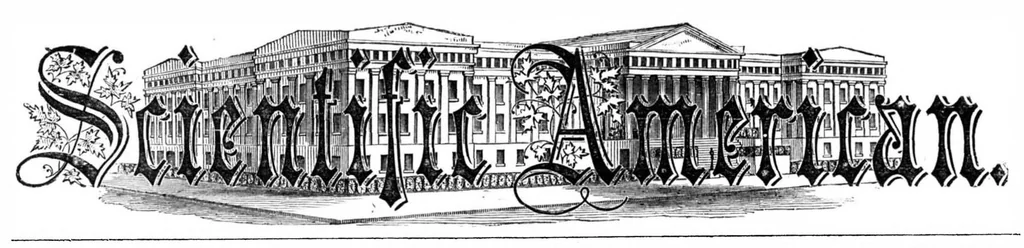 An illustration from Scientific American, Vol. 9, No. 8 (1863), 1863, leaf 0