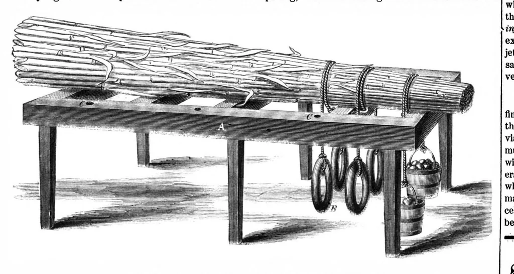 An illustration from Scientific American, Vol. 11, No. 6 (1864), 1864, leaf 15