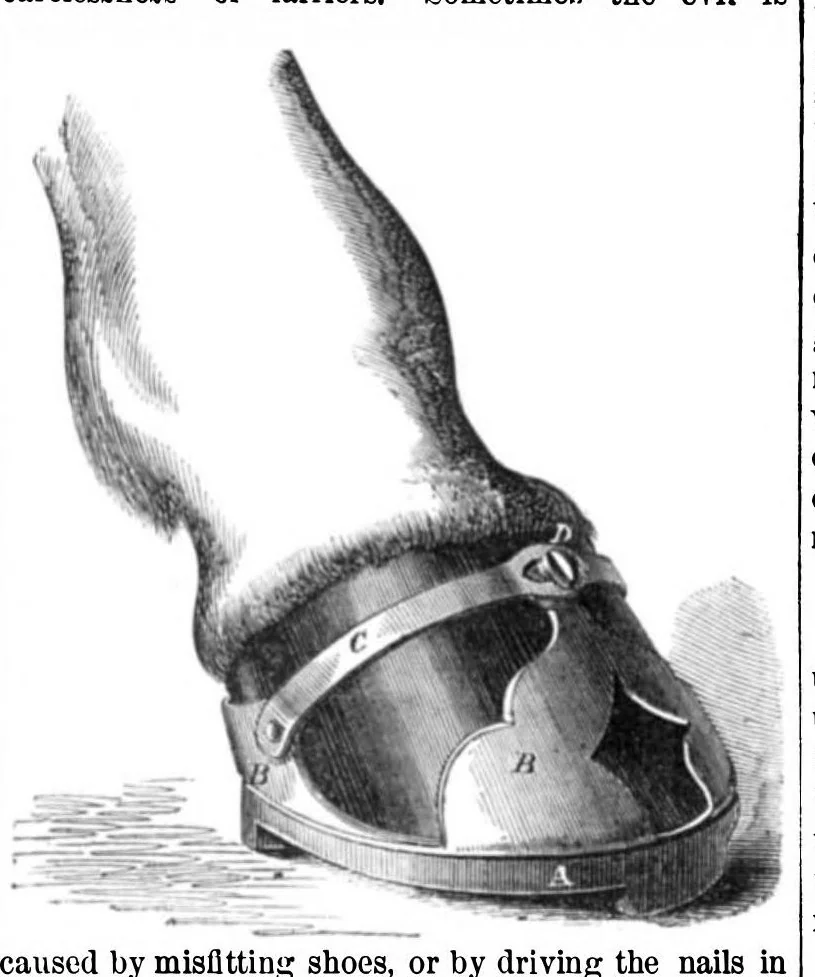 An illustration from Scientific American, Vol. 12, No. 6 (1865), 1865, leaf 7