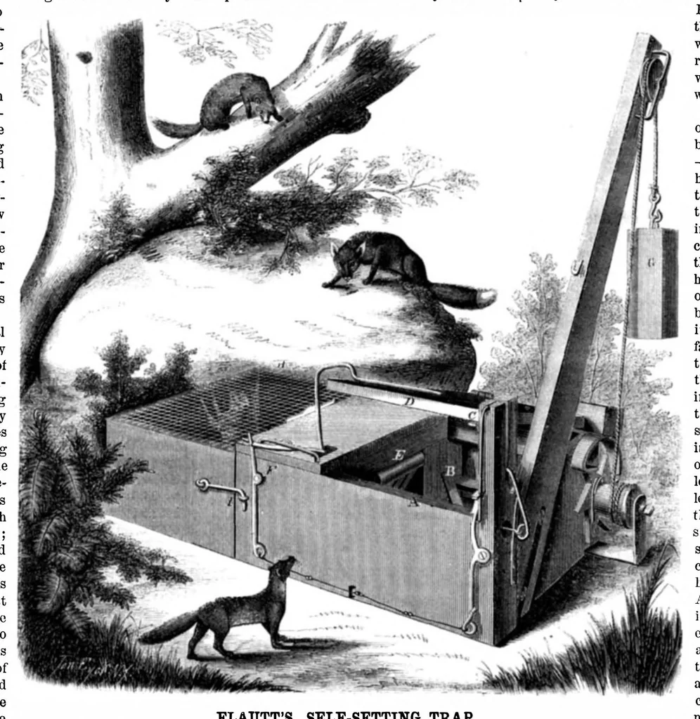 An illustration from Scientific American, Vol. 13, No. 2 (1865), 1865, leaf 0
