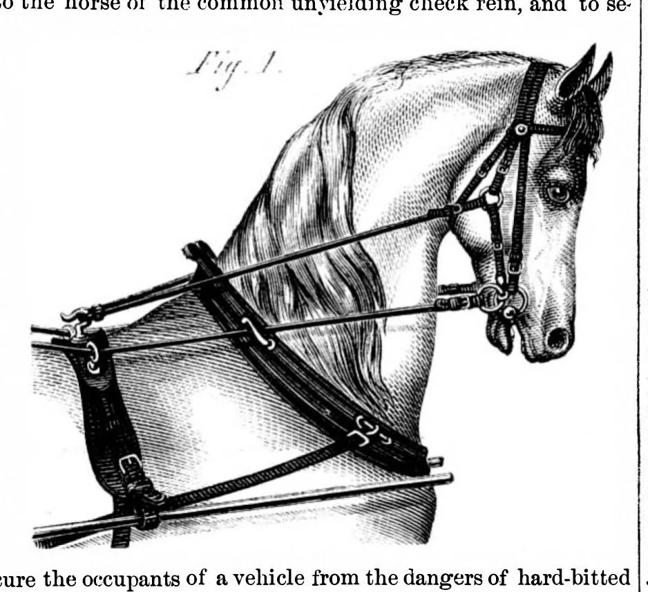 An illustration from Scientific American, Vol. 16, No. 3 (1867), 1867, leaf 3