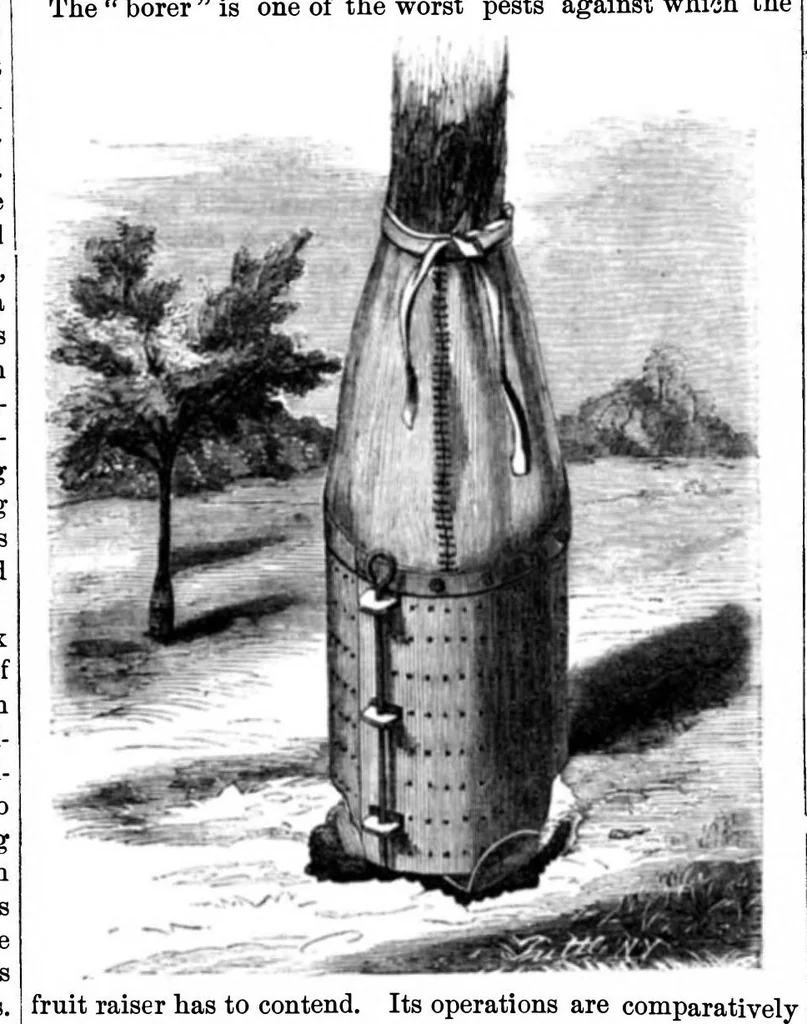 An illustration from Scientific American, Vol. 16, No. 23 (1867), 1867, leaf 0