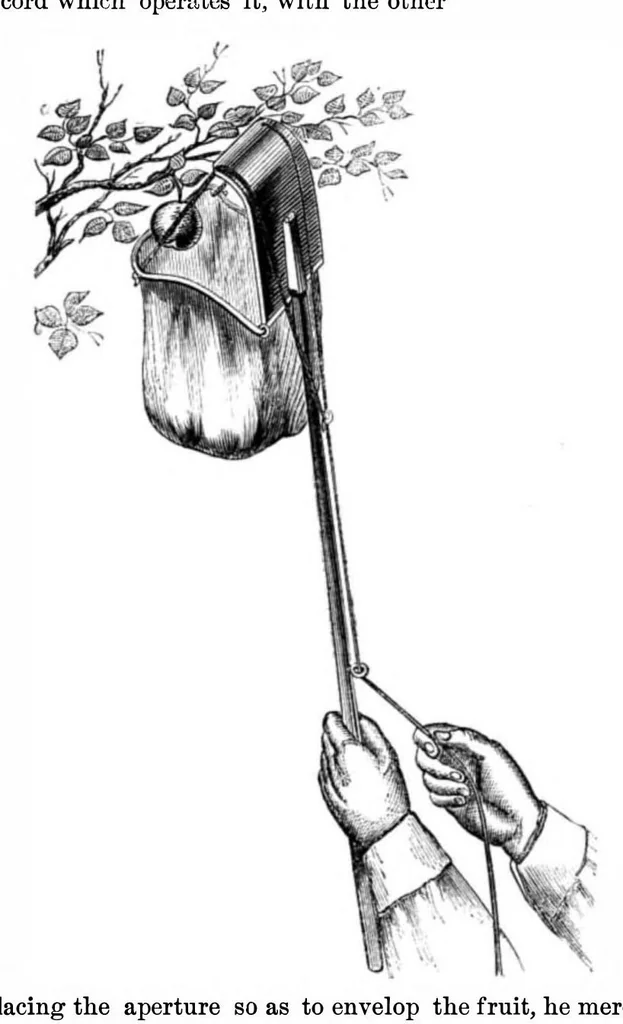 An illustration from Scientific American, Vol. 16, No. 23 (1867), 1867, leaf 3