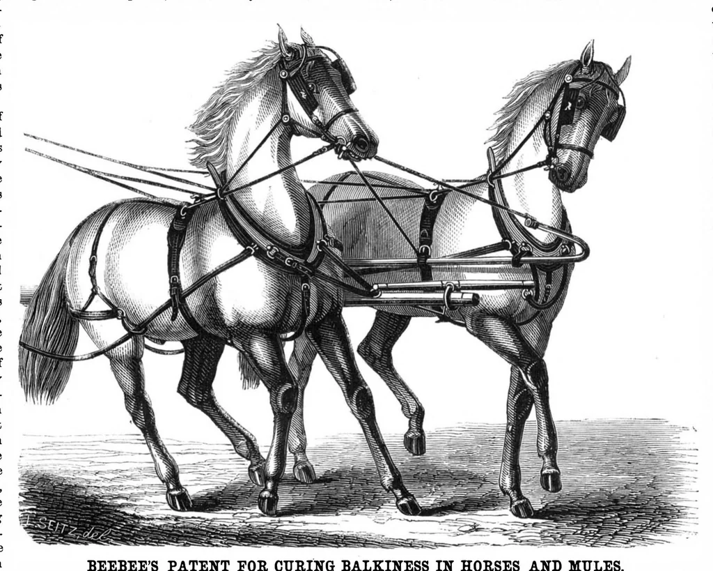 An illustration from Scientific American, Vol. 18, No. 10 (1868), 1868, leaf 7