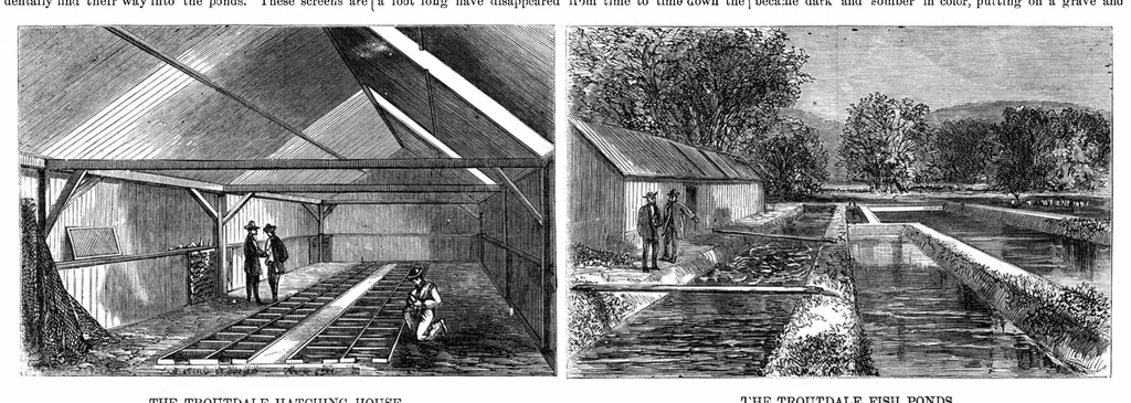 An illustration from Scientific American, Vol. 19, No. 1 (1868), 1868, leaf 4