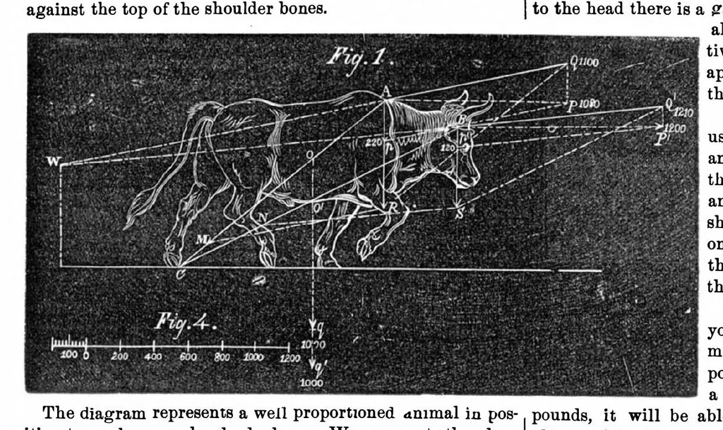 An illustration from Scientific American, Vol. 19, No. 3 (1868), 1868, leaf 4