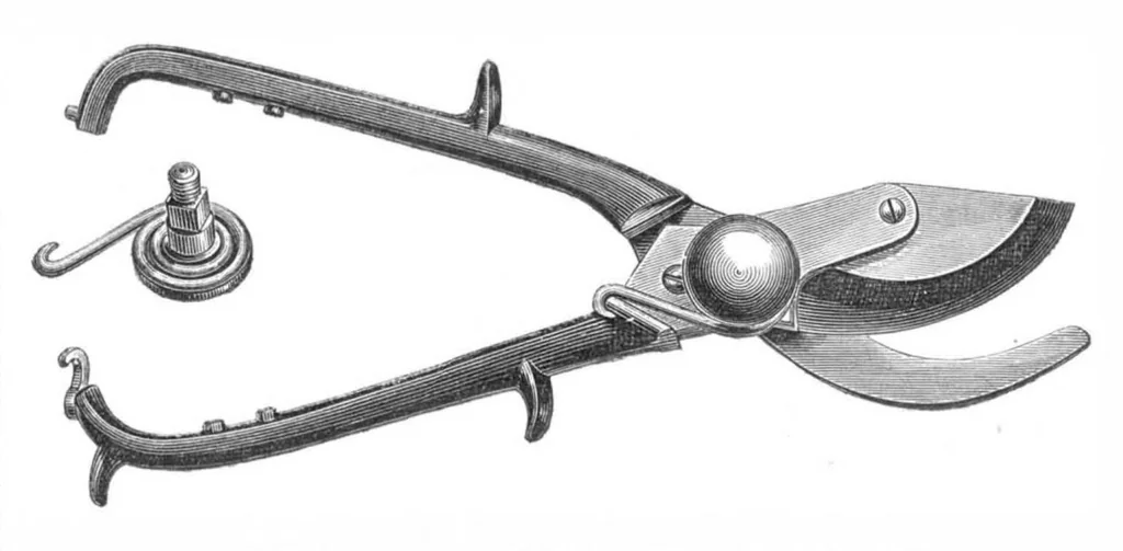 An illustration from Scientific American, Vol. 19, No. 8 (1868), 1868, leaf 3