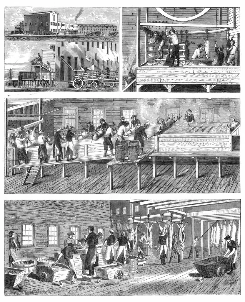 An illustration from Scientific American, Vol. 19, No. 24 (1868), 1868, leaf 7