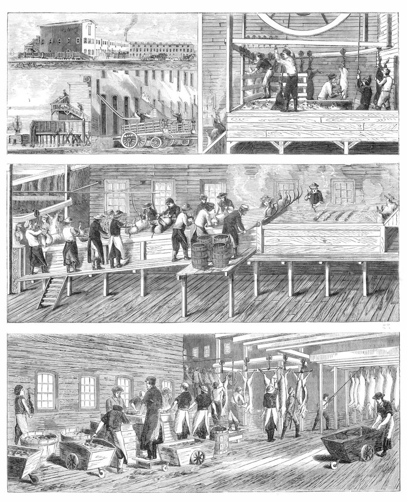 An illustration from Scientific American, Vol. 19, No. 25 (1868), 1868, leaf 7