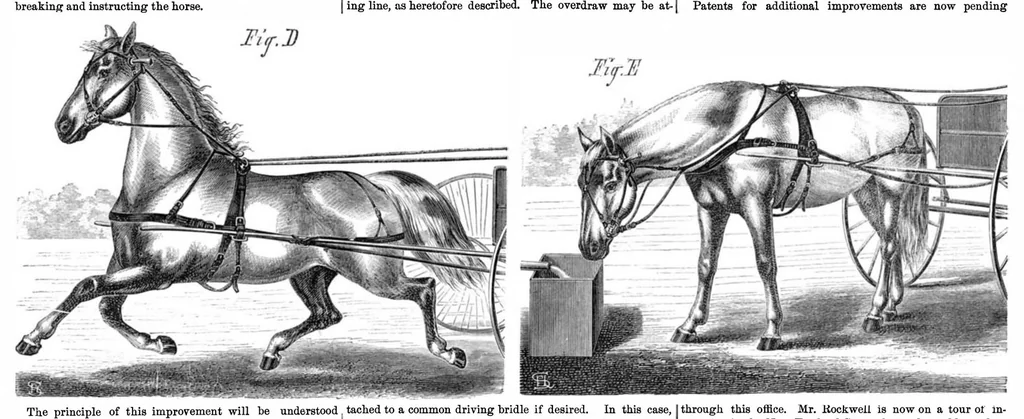 An illustration from Scientific American, Vol. 21, No. 1 (1869), 1869, leaf 4