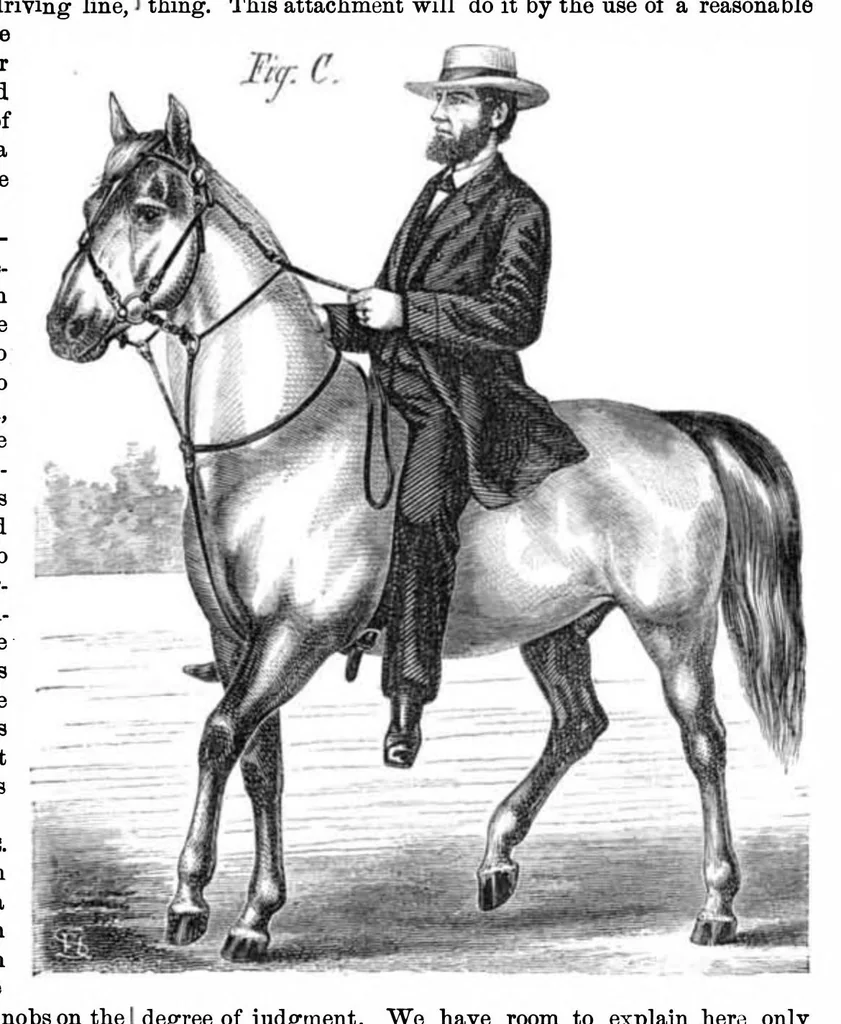 An illustration from Scientific American, Vol. 21, No. 1 (1869), 1869, leaf 4