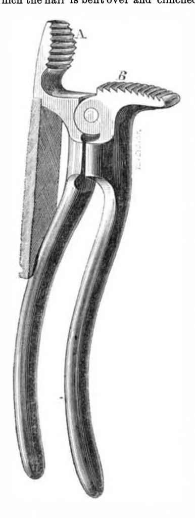 An illustration from Scientific American, Vol. 21, No. 1 (1869), 1869, leaf 5