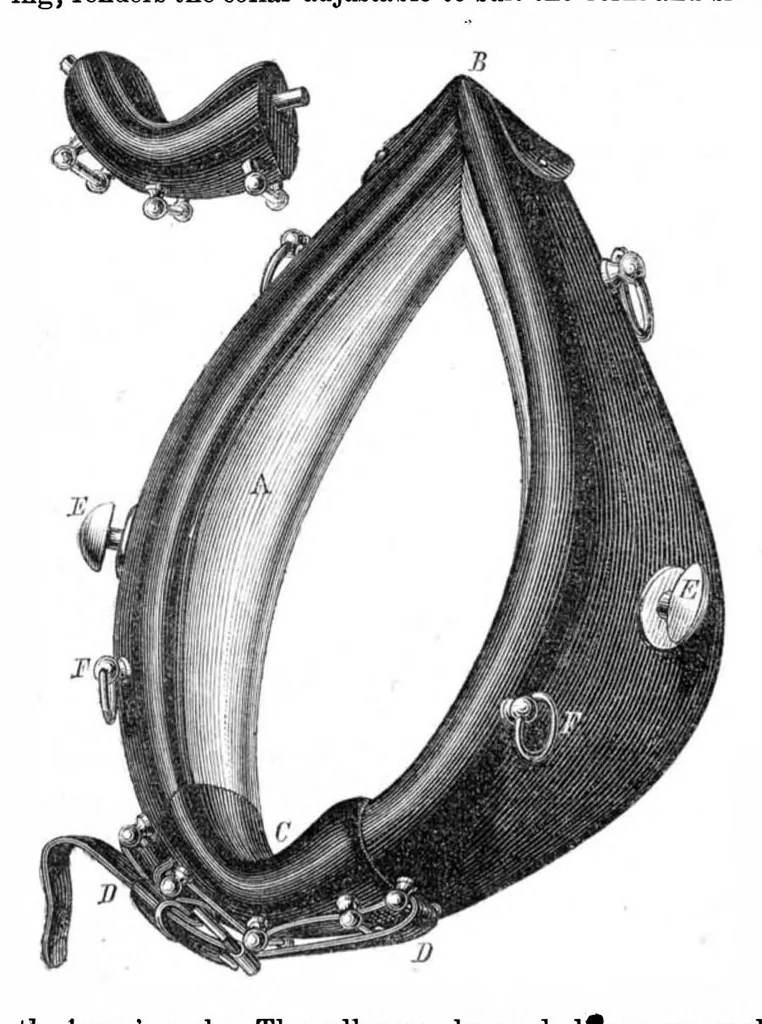 An illustration from Scientific American, Vol. 21, No. 5 (1869), 1869, leaf 4