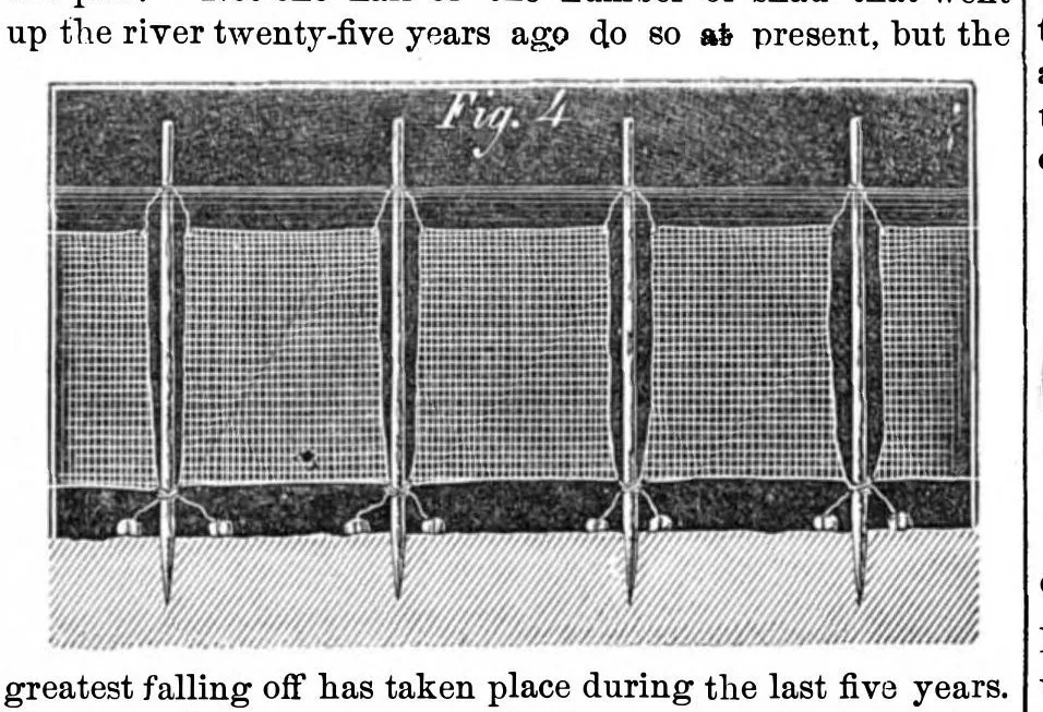An illustration from Scientific American, Vol. 21, No. 6 (1869), 1869, leaf 4