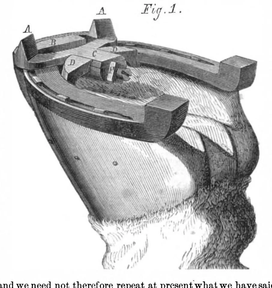 An illustration from Scientific American, Vol. 21, No. 19 (1869), 1869, leaf 7