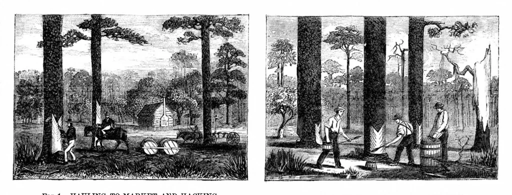 An illustration from Scientific American, Vol. 22, No. 12 (1870), 1870, leaf 3