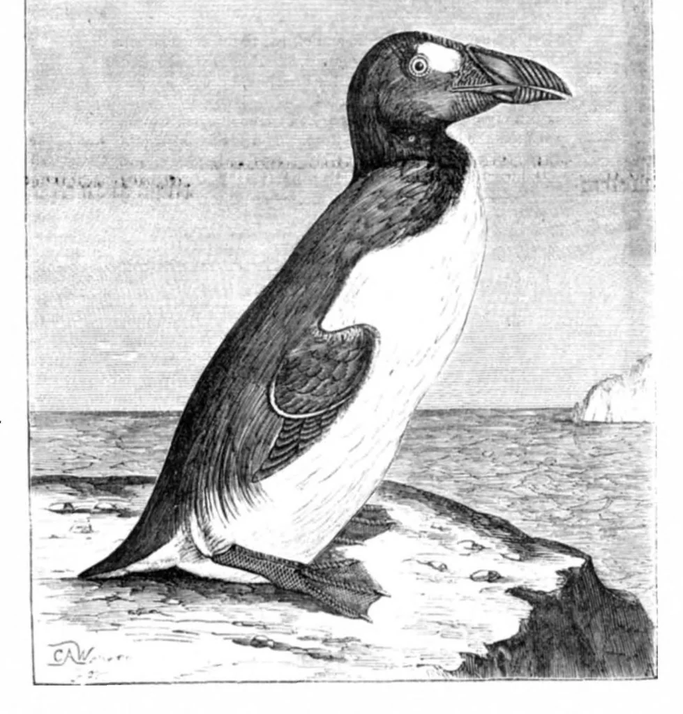 An illustration from Scientific American, Vol. 22, No. 14 (1870), 1870, leaf 4
