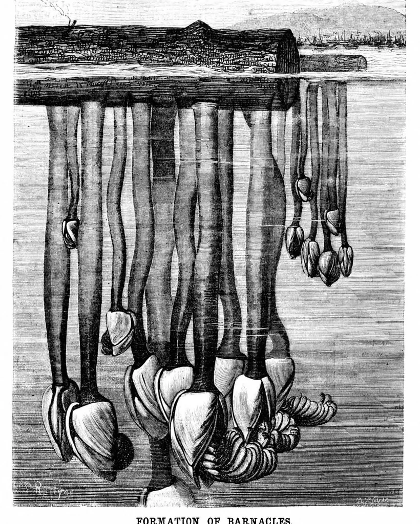 An illustration from Scientific American, Vol. 22, No. 16 (1870), 1870, leaf 3