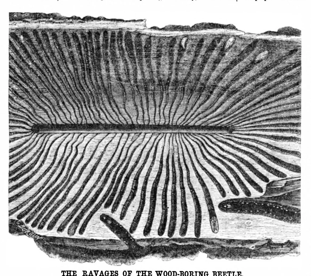 An illustration from Scientific American, Vol. 22, No. 17 (1870), 1870, leaf 3