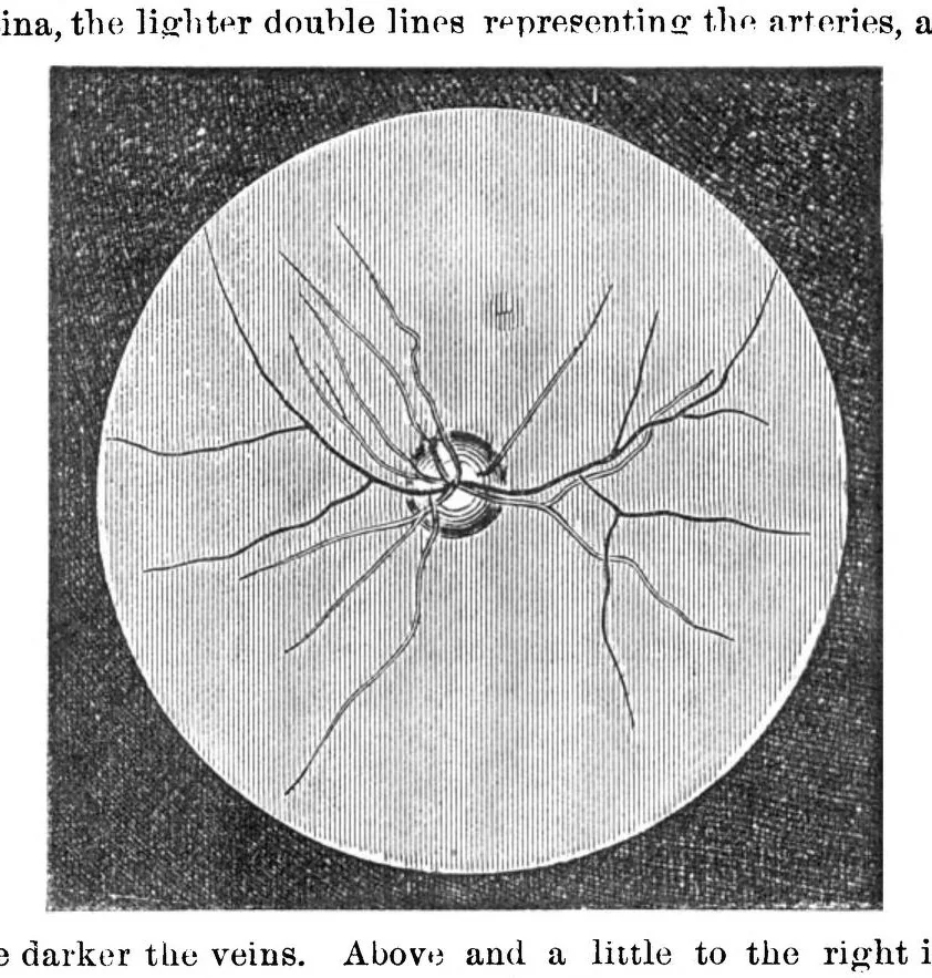 An illustration from Scientific American, Vol. 23, No. 3 (1870), 1870, leaf 3