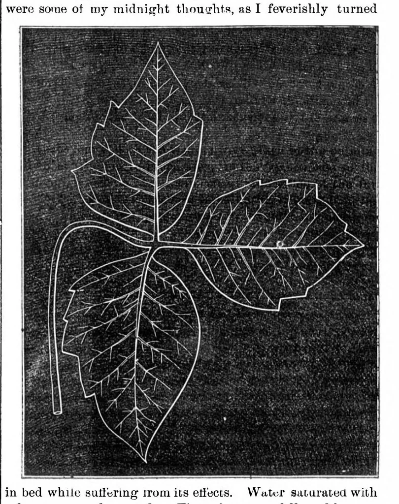 An illustration from Scientific American, Vol. 23, No. 7 (1870), 1870, leaf 4