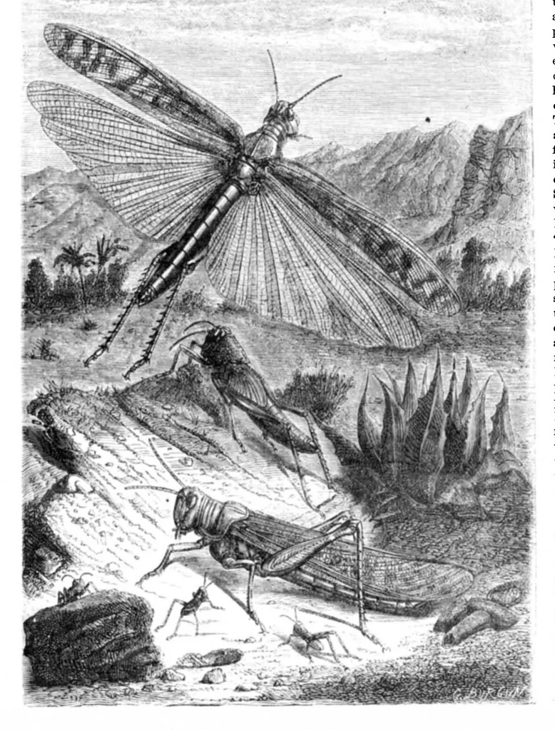 An illustration from Scientific American, Vol. 23, No. 9 (1870), 1870, leaf 4