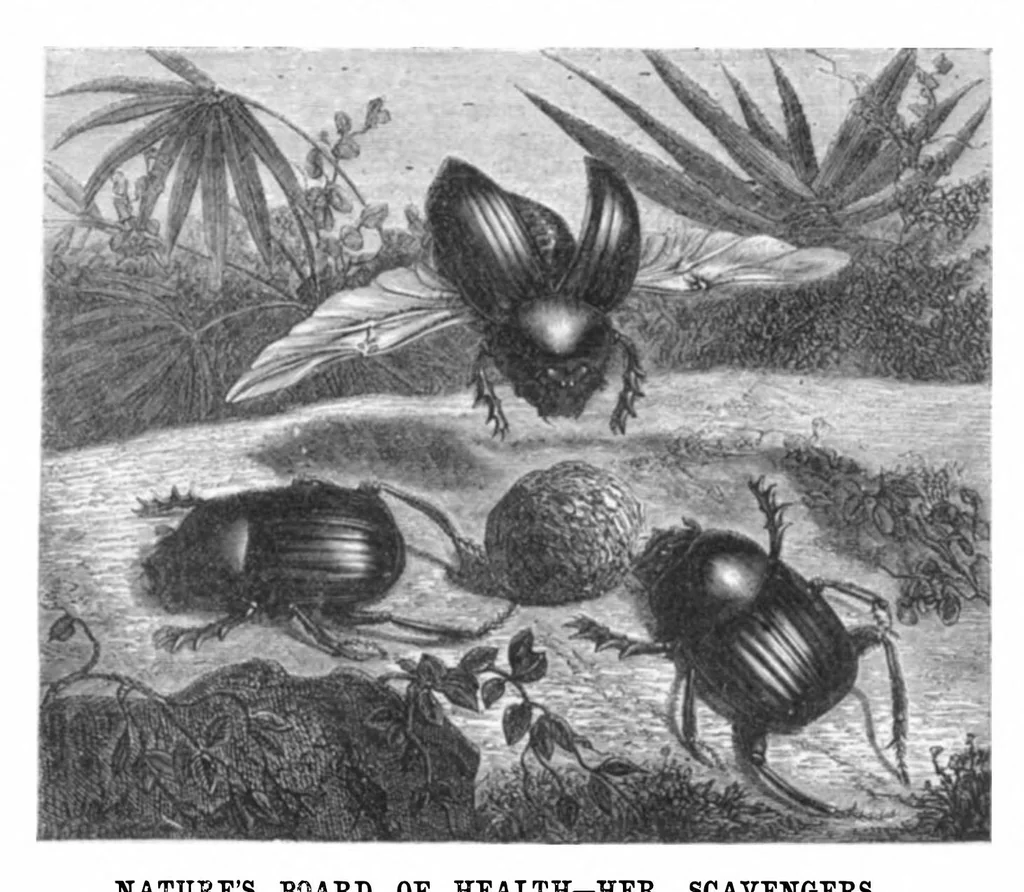 An illustration from Scientific American, Vol. 23, No. 10 (1870), 1870, leaf 4