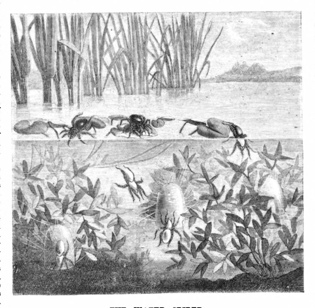 An illustration from Scientific American, Vol. 23, No. 13 (1870), 1870, leaf 4