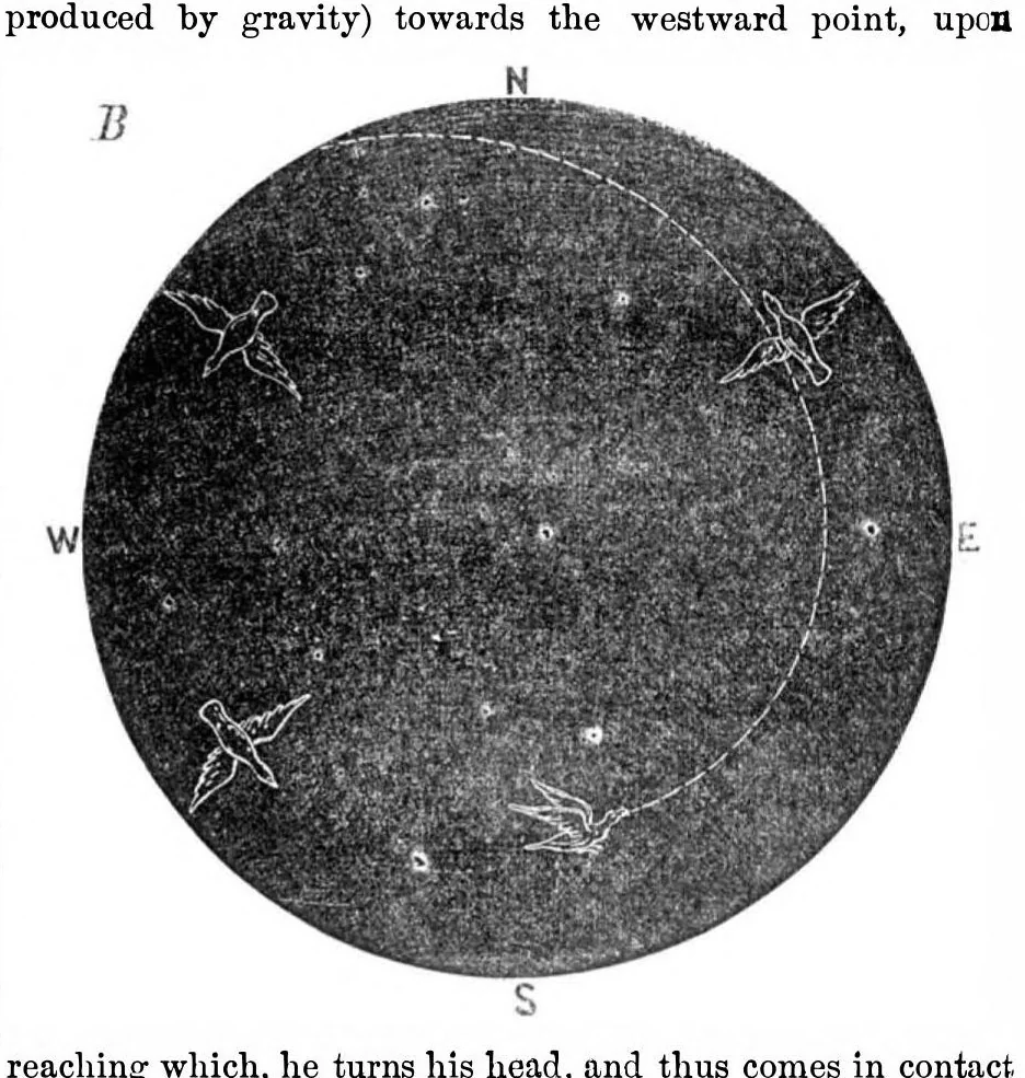 An illustration from Scientific American, Vol. 24, No. 13 (1871), 1871, leaf 3