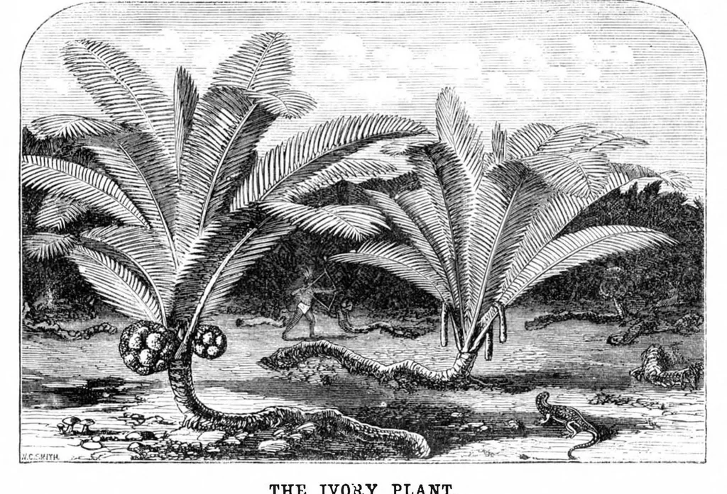 An illustration from Scientific American, Vol. 24, No. 16 (1871), 1871, leaf 3
