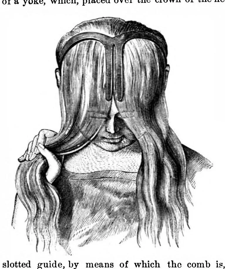 An illustration from Scientific American, Vol. 25, No. 1 (1871), 1871, leaf 2